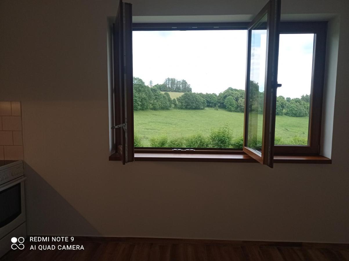 Apartmany U Becova Nad Teplou Becov nad Teplou Bagian luar foto