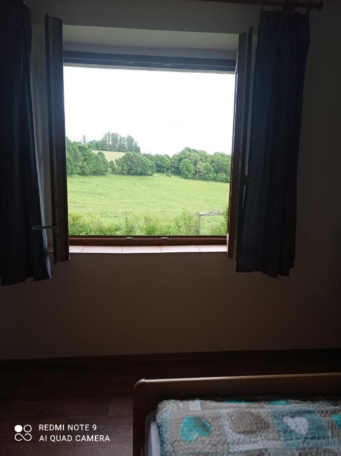 Apartmany U Becova Nad Teplou Becov nad Teplou Bagian luar foto