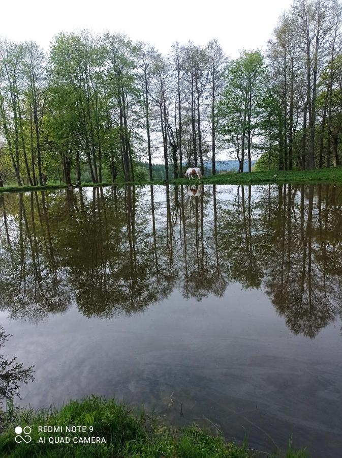 Apartmany U Becova Nad Teplou Becov nad Teplou Bagian luar foto