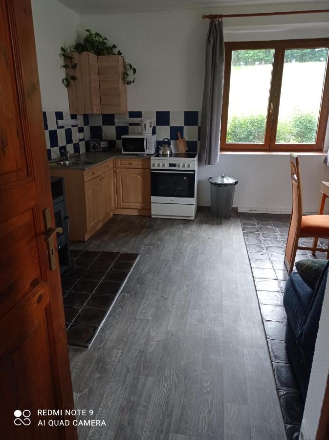 Apartmany U Becova Nad Teplou Becov nad Teplou Bagian luar foto